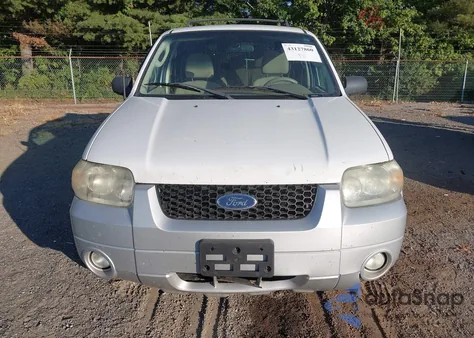 2007 Ford Escape Xlt/Xlt Sport from USA, damaged, VIN 1FMYU03137KB61562